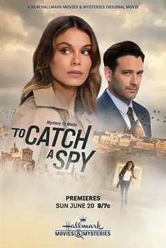 免费在线观看《To Catch a Spy》