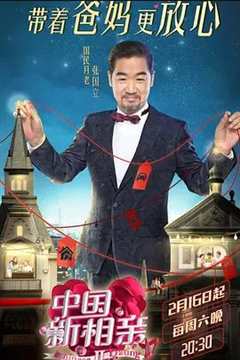 免费在线观看《中国新相亲 第二季》