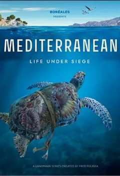 免费在线观看完整版欧美剧《地中海》