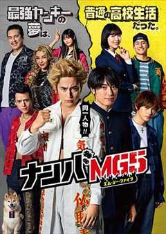 免费在线观看完整版日本剧《难破MG5》