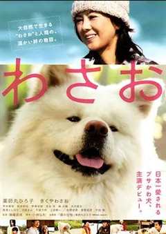 免费在线观看《秋田犬蓬夫 2011》