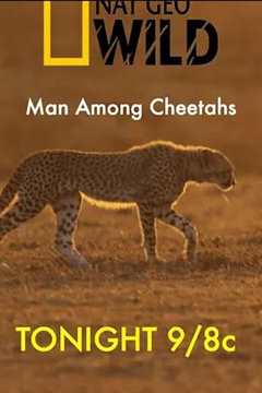 免费在线观看《Man Among Cheetahs》