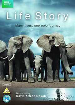 免费在线观看完整版欧美剧《生命故事》