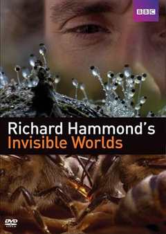 免费在线观看完整版欧美剧《理查德·哈蒙德：看不见的世界》