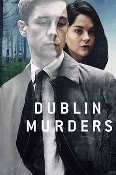 免费在线观看完整版欧美剧《都柏林凶案》