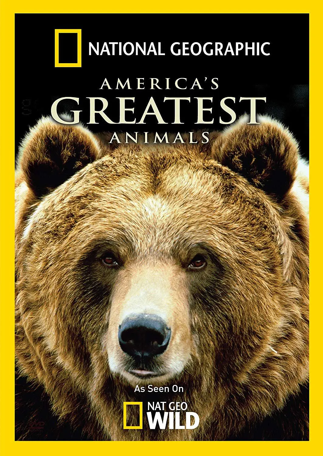 免费在线观看《美洲伟大的动物》
