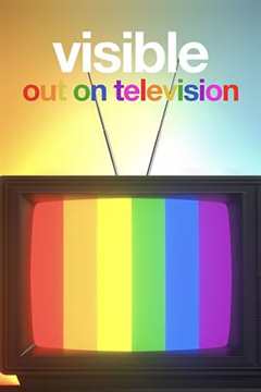 免费在线观看完整版欧美剧《从暗到明：电视与彩虹史》