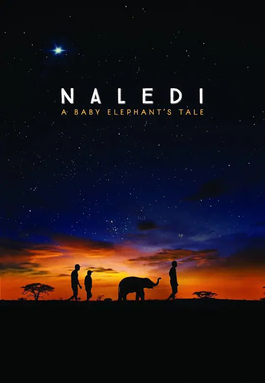 免费在线观看《纳勒迪：一只小象的故事》
