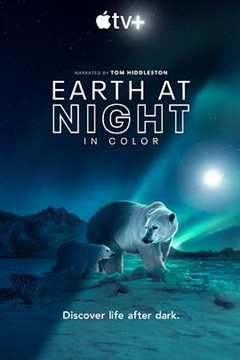 免费在线观看完整版欧美剧《夜色中的地球 第二季》
