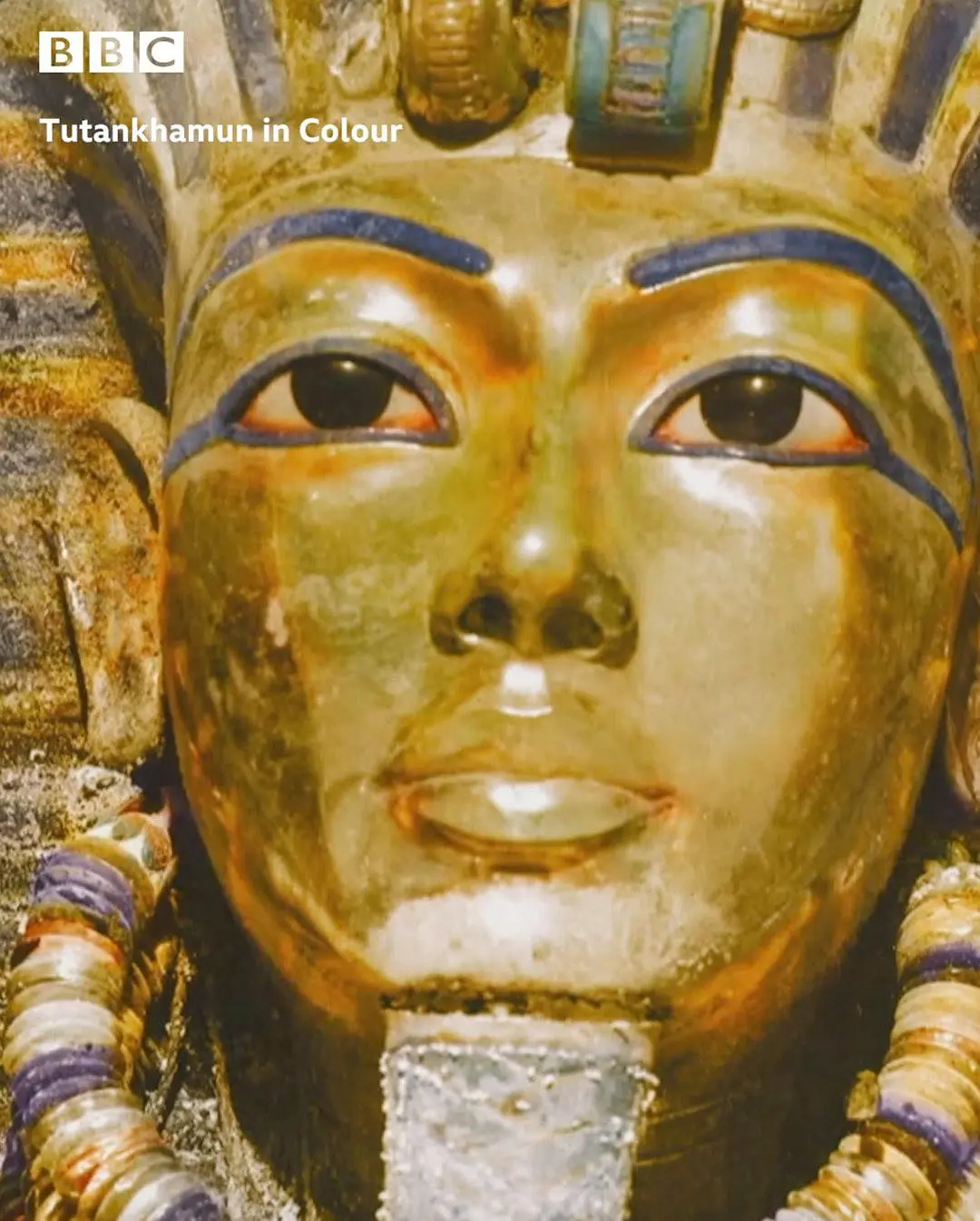 免费在线观看《Tutankhamun in Colour》