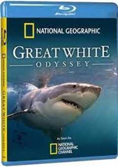 免费在线观看《国家地理：大白鲨的长途冒险旅程》