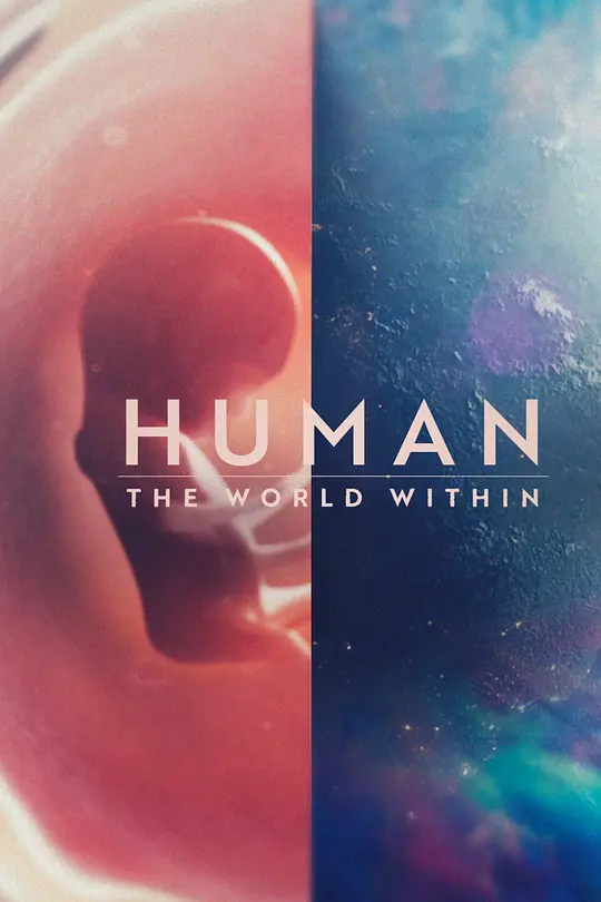 免费在线观看完整版欧美剧《人类：体内的世界 第一季》