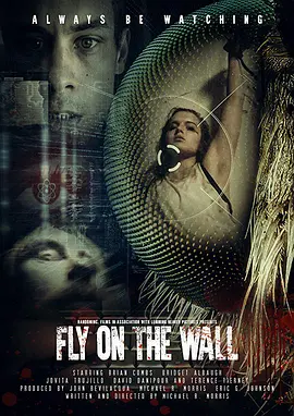 免费在线观看《Fly on the Wall》