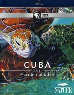 免费在线观看《古巴：意外的伊甸园》