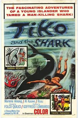 免费在线观看《蒂科与鲨鱼》