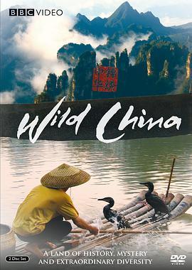 免费在线观看完整版欧美剧《美丽中国》