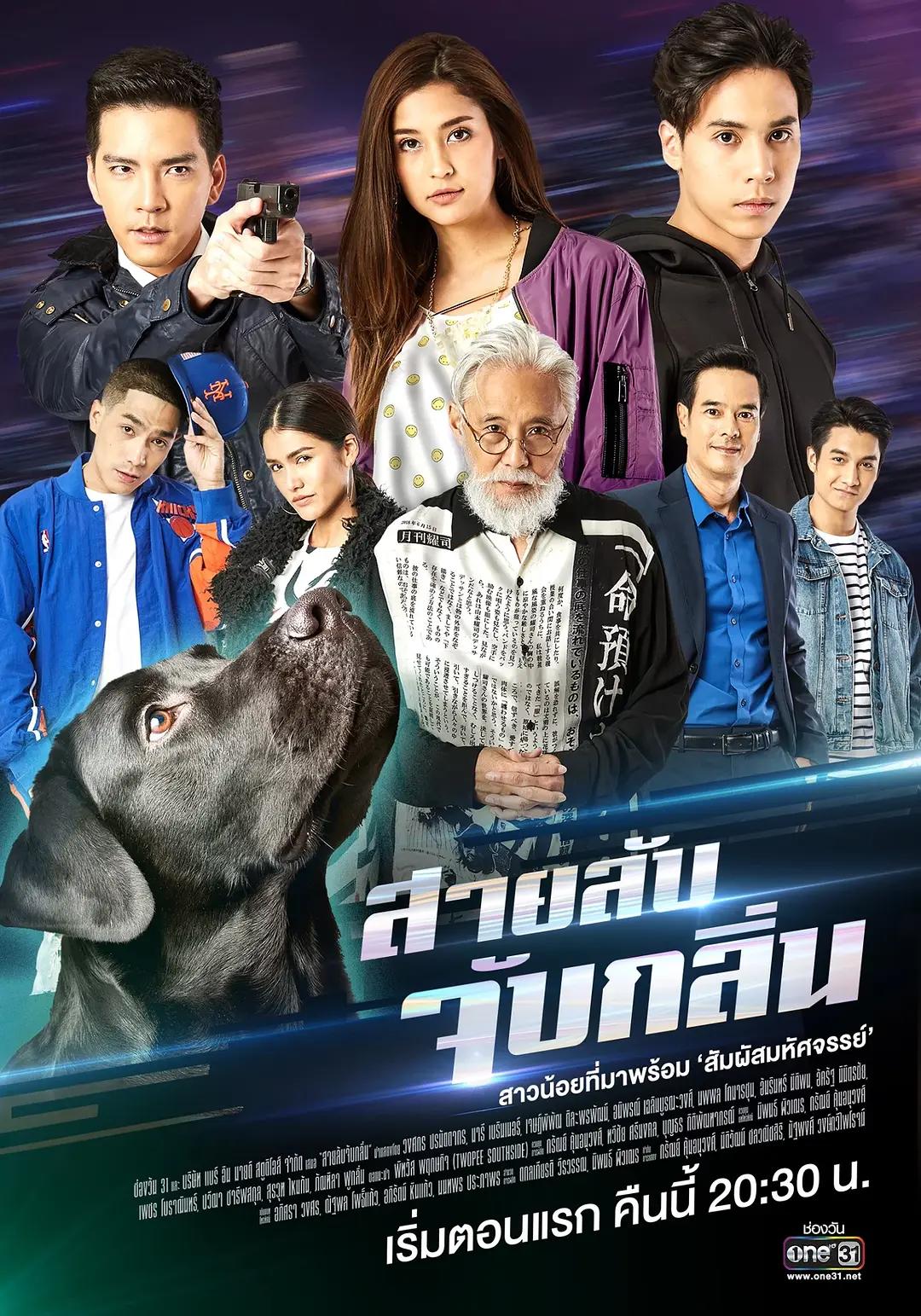 免费在线观看完整版泰国剧《谍影追踪》
