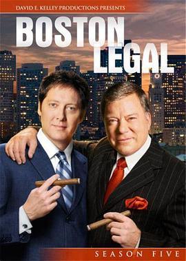 免费在线观看完整版欧美剧《波士顿法律 第五季》