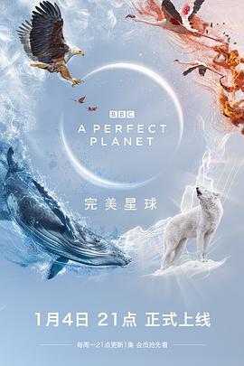 免费在线观看《完美星球》