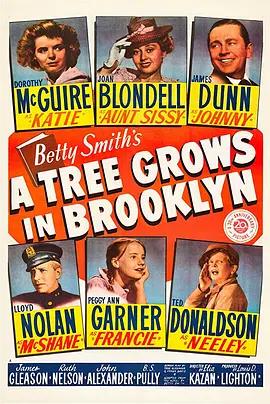 免费在线观看《布鲁克林有棵树》