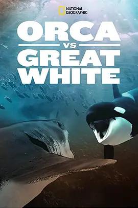 免费在线观看《虎鲸对上大白鲨》