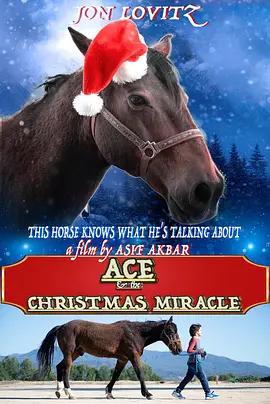 免费在线观看《圣诞奇迹王牌马》