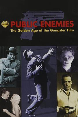 免费在线观看《公众之敌：黑帮电影的黄金时代》
