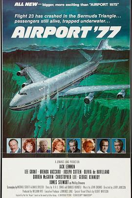 免费在线观看《77年航空港》