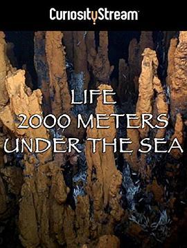 免费在线观看《两千米深海生命》