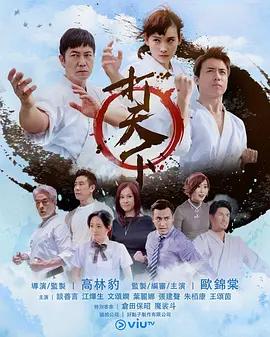免费在线观看完整版香港剧《打天下》