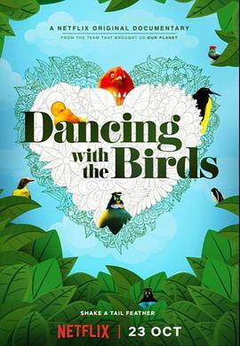 免费在线观看《与鸟共舞》