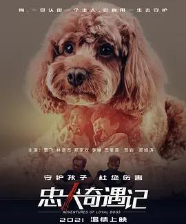 免费在线观看《忠犬奇遇记》