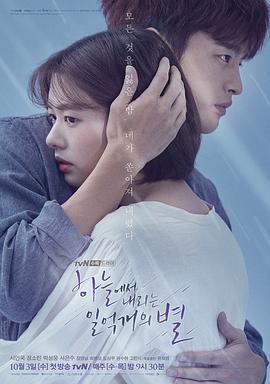 免费在线观看完整版韩国剧《从天而降的一亿颗星星 韩版》