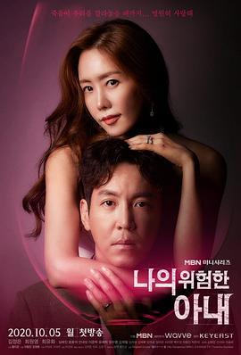 免费在线观看完整版韩国剧《我的危险妻子》