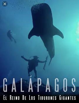 免费在线观看《加拉帕戈斯群岛：巨大鲨鱼王国》