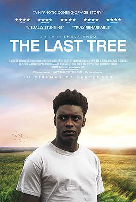 免费在线观看《最后一棵树》