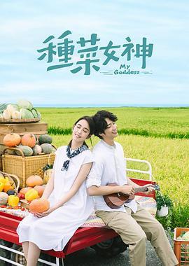 免费在线观看完整版台湾剧《种菜女神》