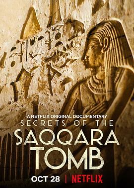 免费在线观看《塞加拉陵墓揭秘》