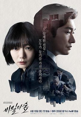 免费在线观看完整版韩国剧《秘密森林第一季》