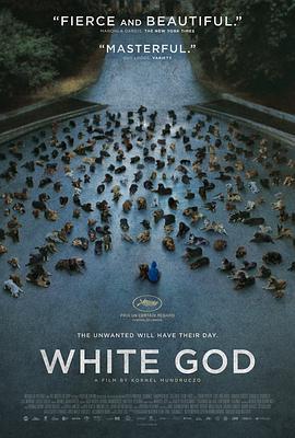 免费在线观看《白色上帝》