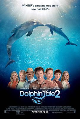 免费在线观看《海豚的故事2》