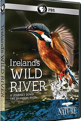 免费在线观看《爱尔兰荒野河流》