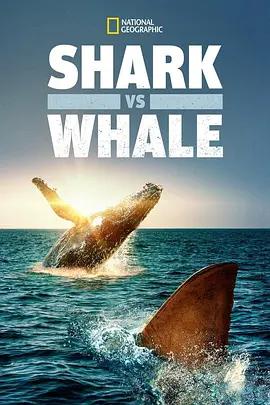 免费在线观看《鲨与鲸》