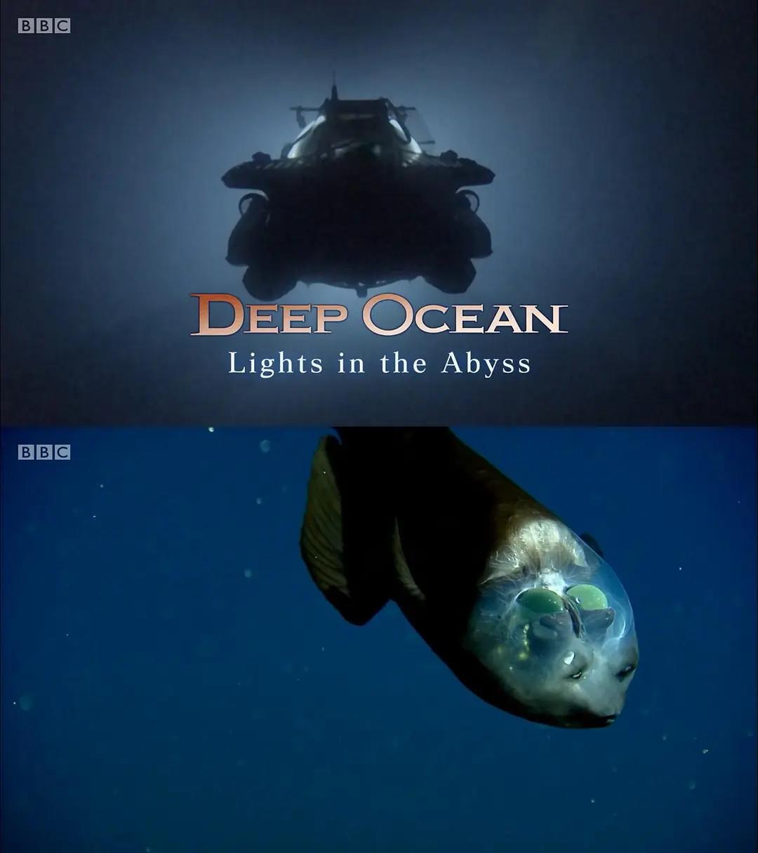 免费在线观看《深海：深渊之光》