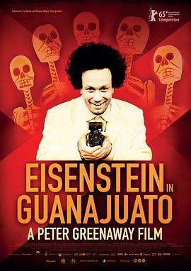 免费在线观看《爱森斯坦在瓜纳华托》