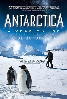 免费在线观看《南极洲：冰上的一年》