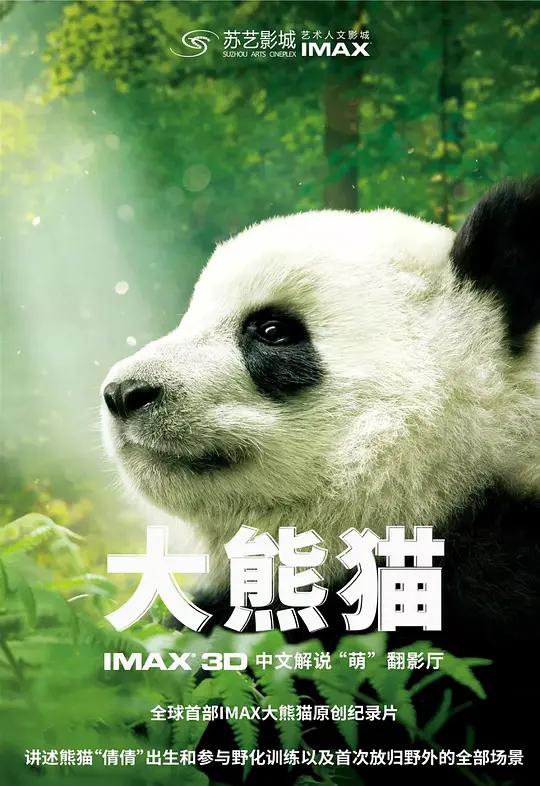 免费在线观看《大熊猫》