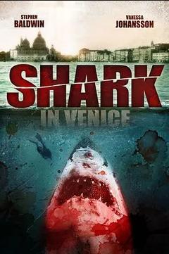 免费在线观看《威尼斯之鲨》
