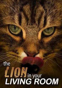 免费在线观看《家里的狮子》