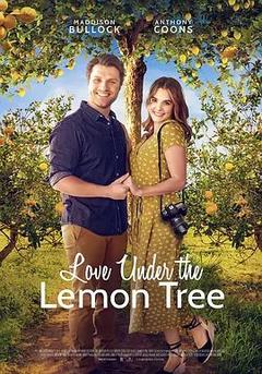 免费在线观看《Love Under the Lemon Tree》